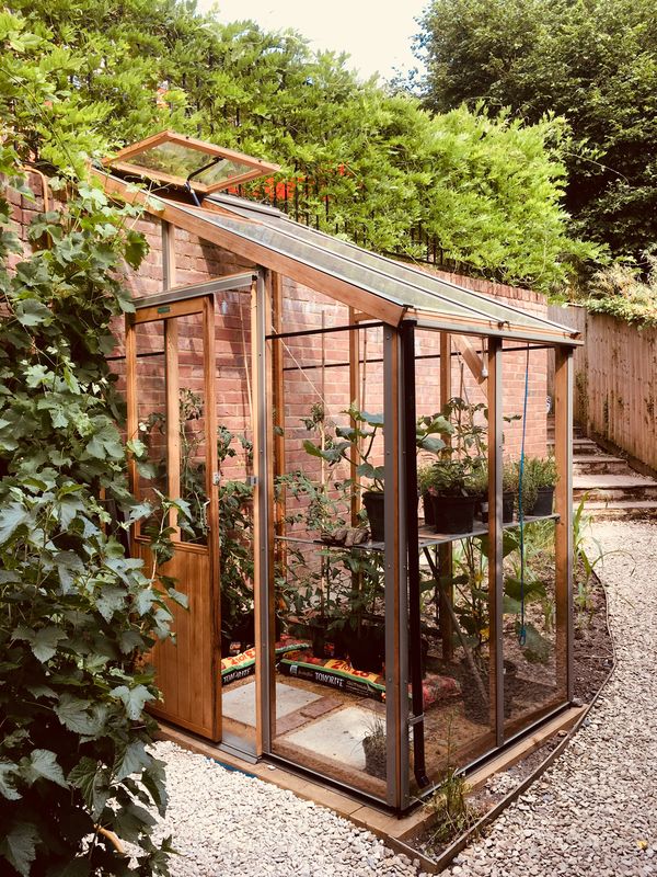 Alton Evolution Six-LT Cedar Greenhouse