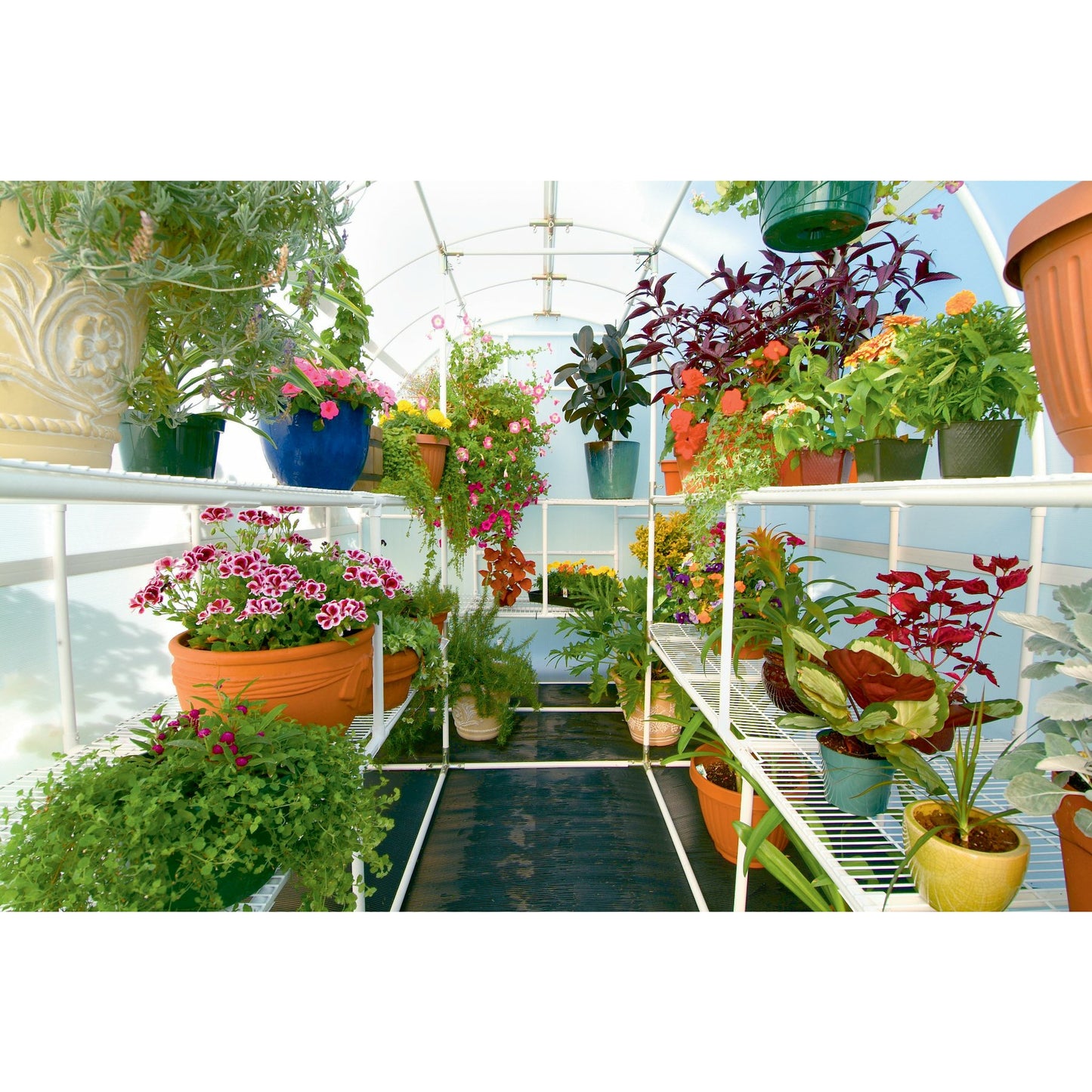 Solexx Gardener's Oasis Greenhouse 8'W x 12'L x 8'H