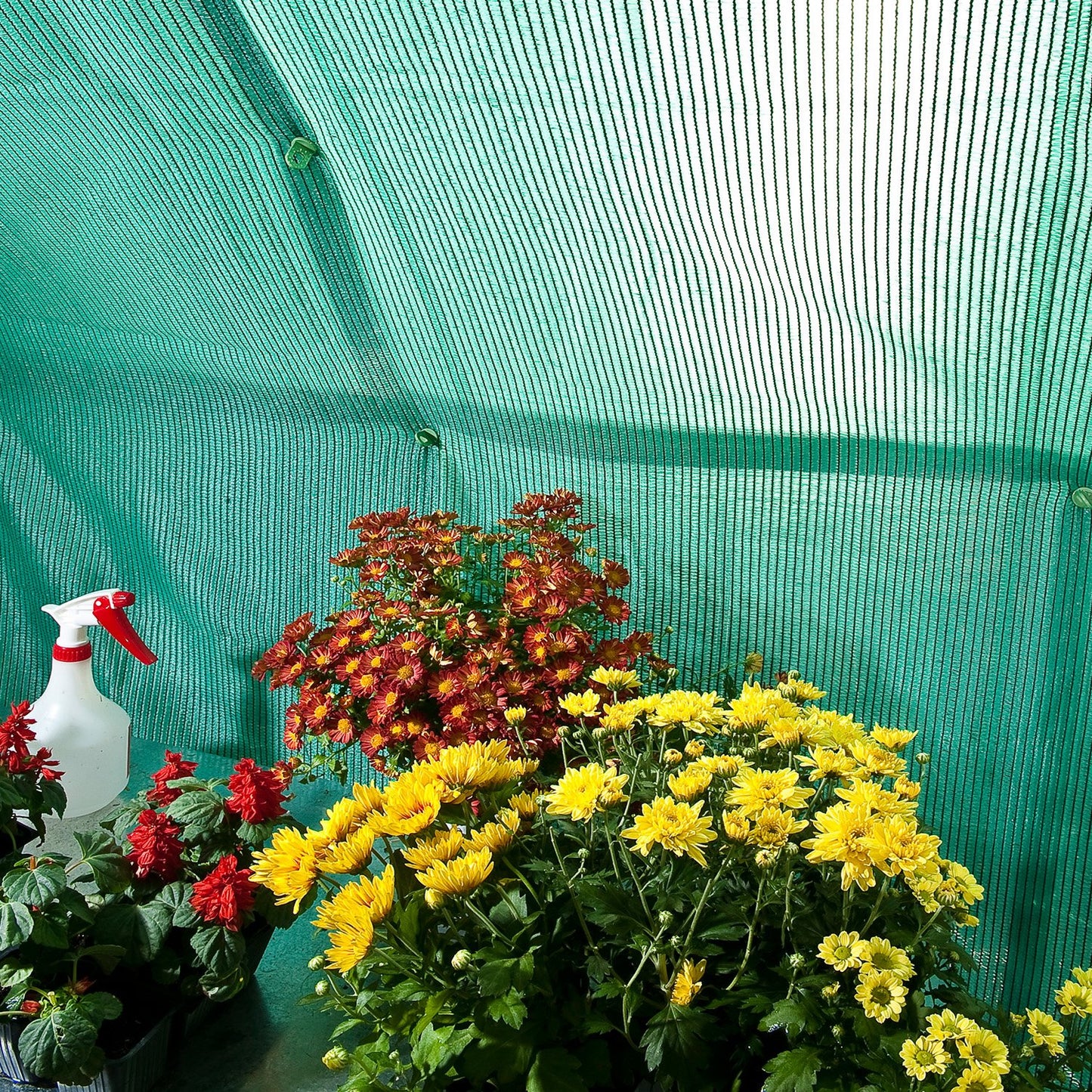 Palram Shade Cloth for Palram - Canopia and Rion Greenhouses