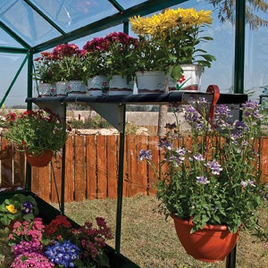 Palram Greenhouse Shelf for Palram - Canopia Greenhouses