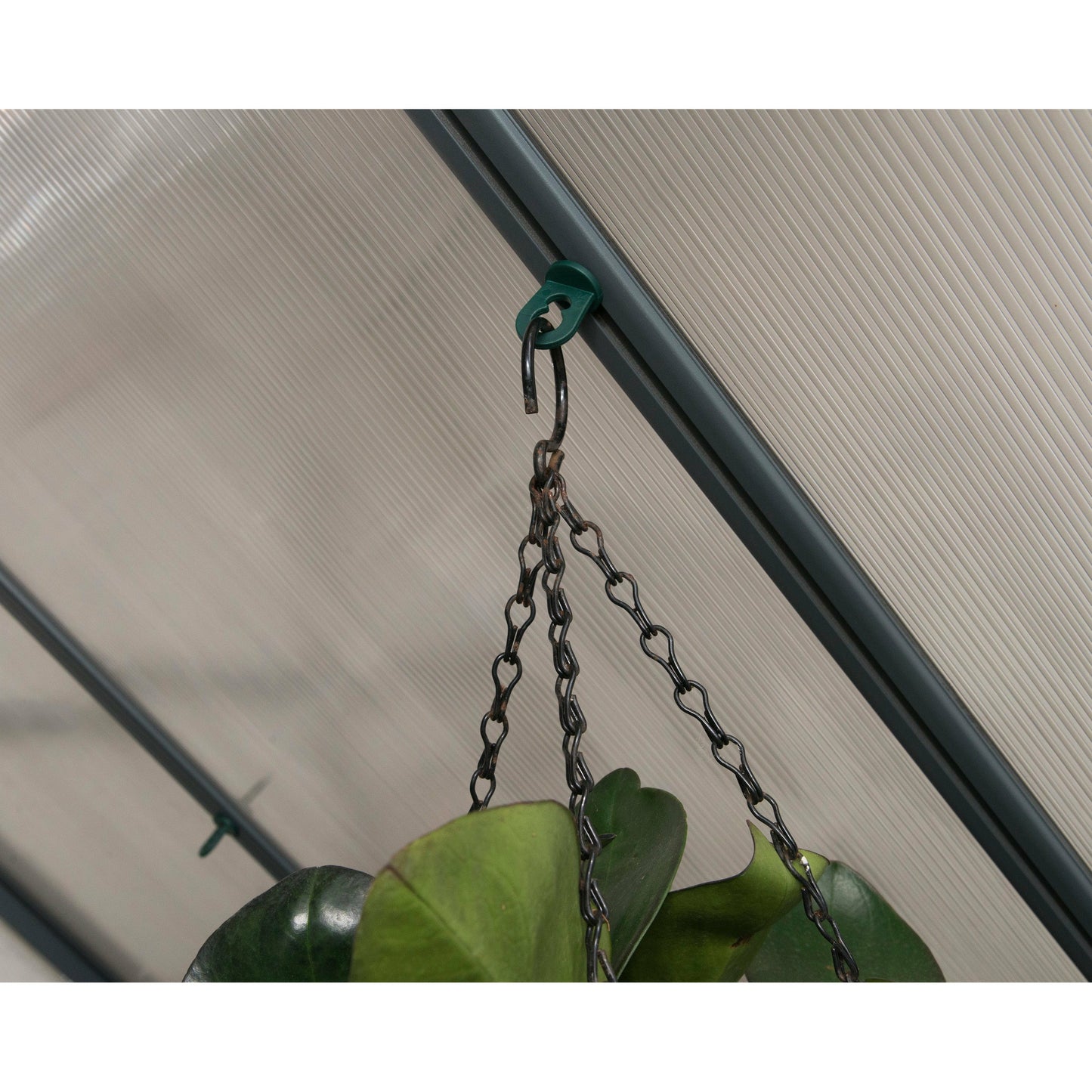 Palram Plant Hangers for Palram - Canopia Greenhouses