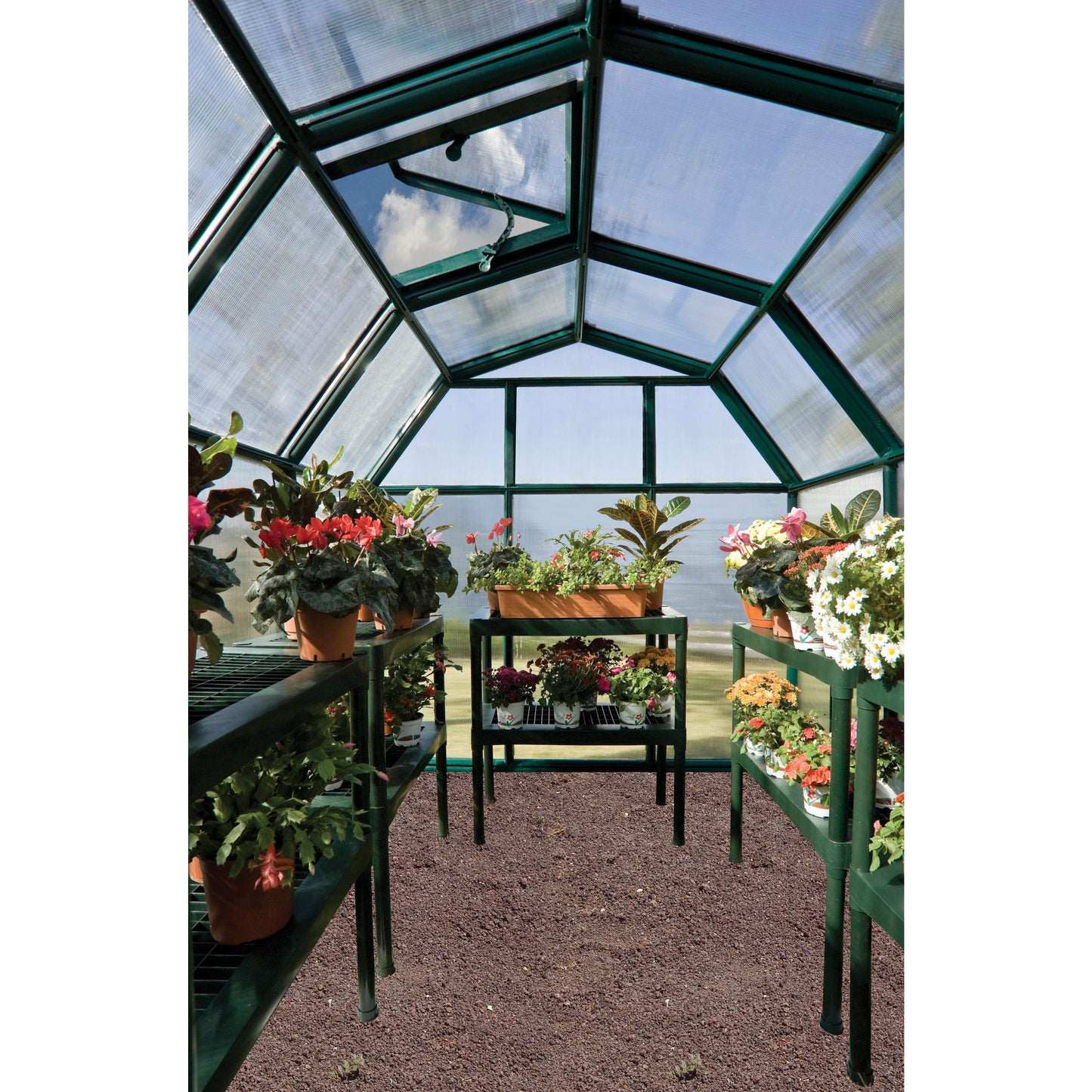 Rion EcoGrow 6' x 12' Greenhouse