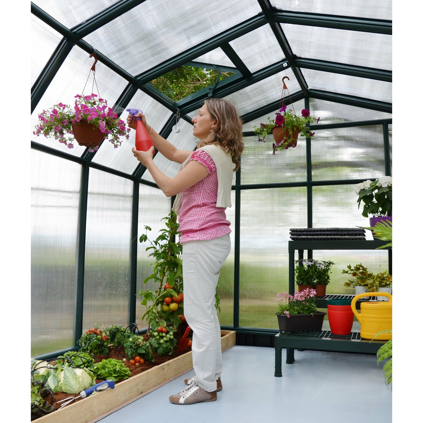 Rion Hobby Gardener 8' x 8' Greenhouse