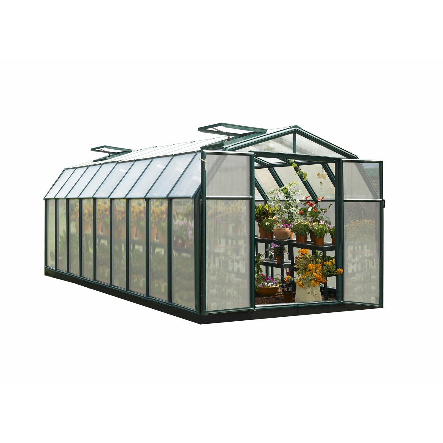 Rion Hobby Gardener 8' x 20' Greenhouse
