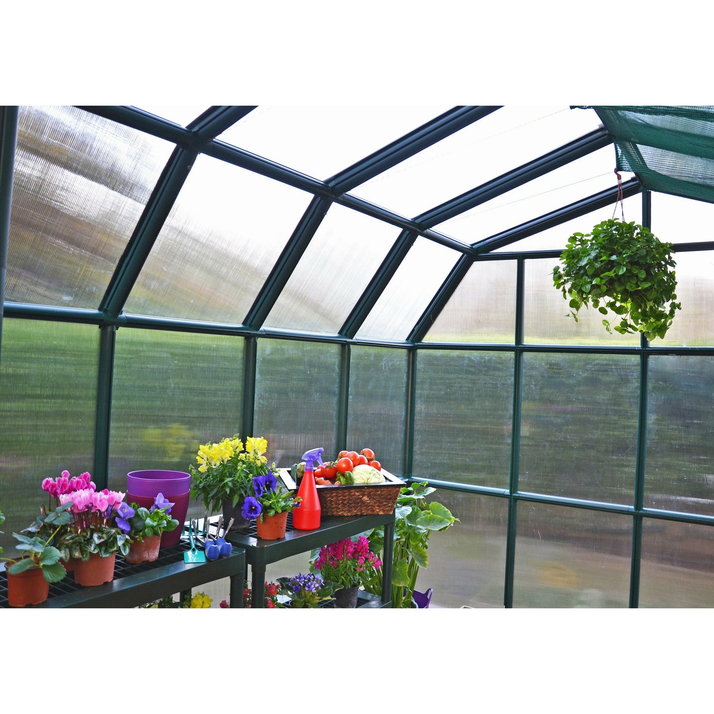 Rion Grand Gardener 8' x 8' Greenhouse - Twin Wall