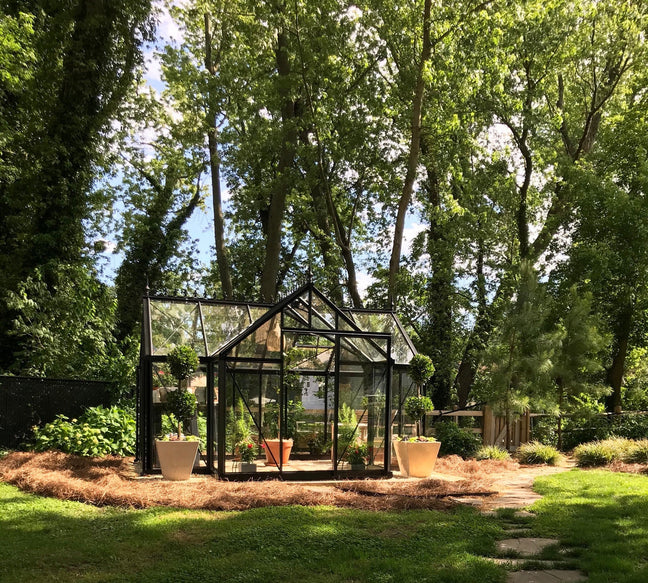 Exaco Janssens Junior Orangerie Greenhouse 10 x 13ft