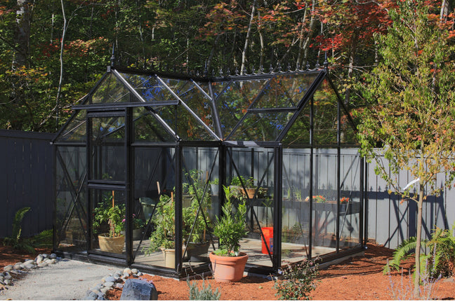 Exaco Janssens Junior Orangerie Greenhouse 10 x 13ft