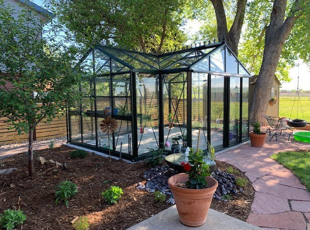 Exaco Janssens Royal Victorian Orangerie 13 x 16 ft T-Shape
