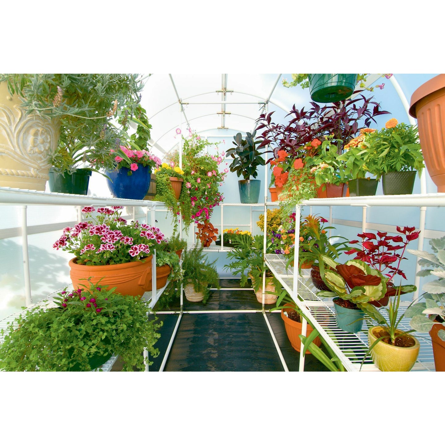 Solexx Gardener's Oasis Greenhouse 8'W x 24'L x 8'H