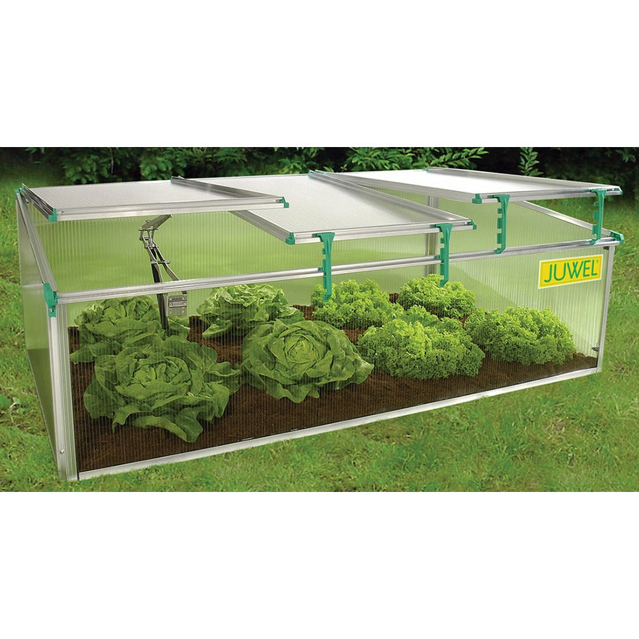 BioStar 1500 Premium Cold-Frame