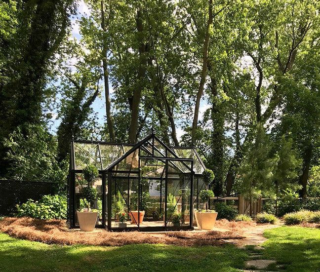 Exaco Janssens Junior Orangerie Greenhouse 10 x 13ft