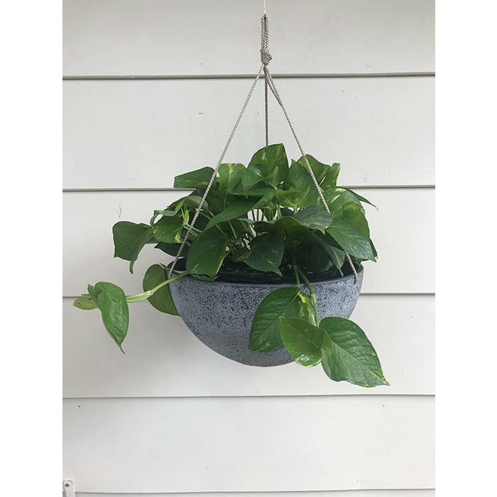hanging greenhouse planter Exaco Round Hanging Planter, Spackled Gray
