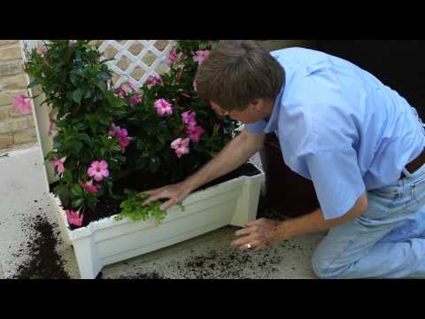 calypso self watering planter Exaco Calypso Planter with Trellis and Water Reservoir – Planet Greenhouse