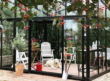 Exaco Janssens Modern M34 Greenhouse 10 x 15 ft