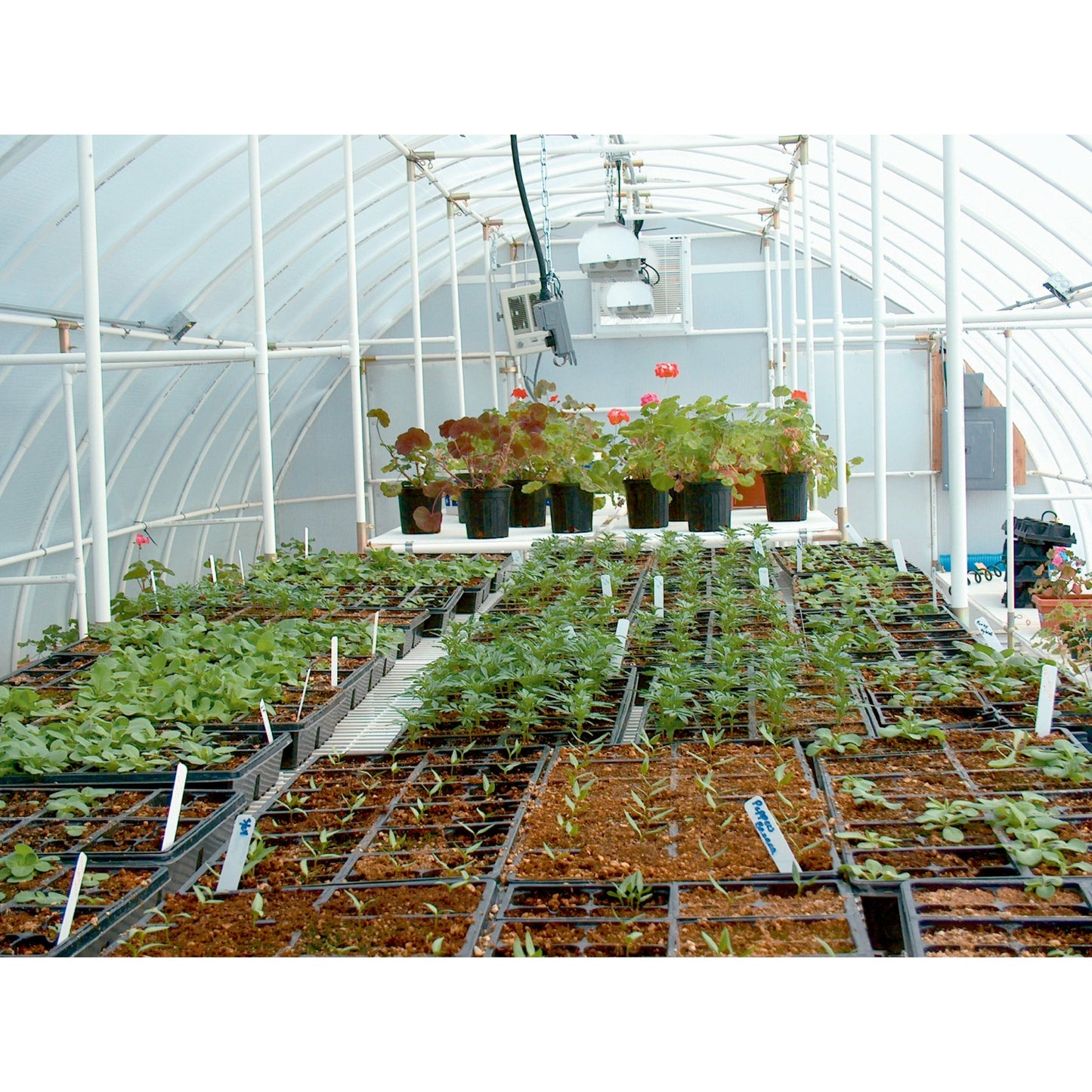 Solexx Conservatory Greenhouse 16'W x 8'L x 9'6"H
