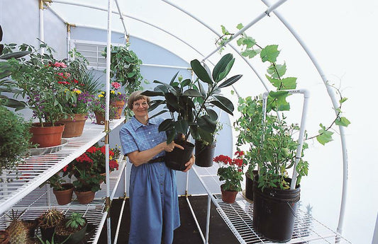 Solexx Harvester Greenhouse 8'W x 24'L x 8'H